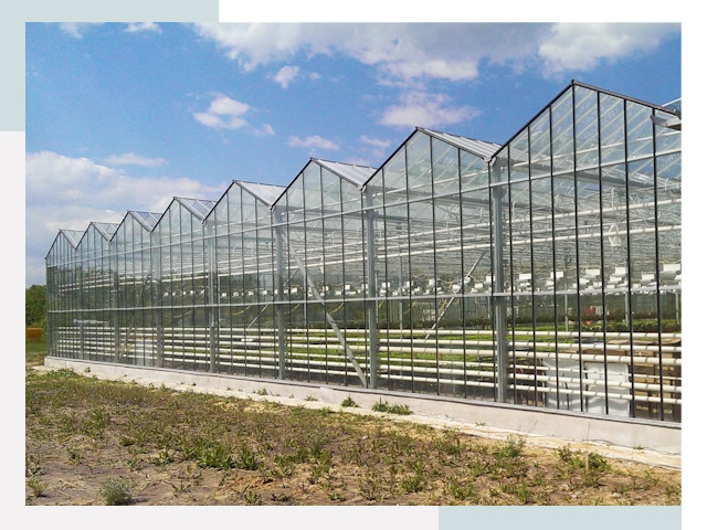 Строительство теплиц в Сафоново от 615 руб. за м²