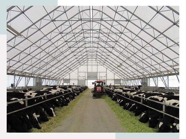 Тентовые коровники в Сафоново от 615 руб. - Надежно и доступно