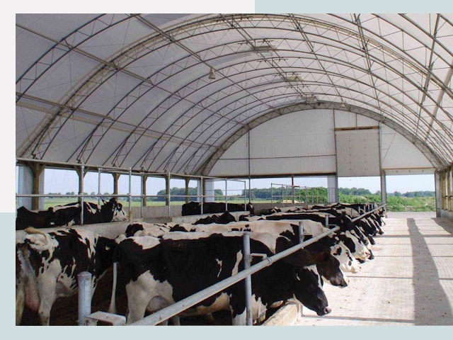 Тентовые коровники в Сафоново